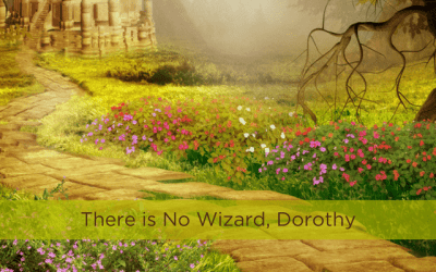 There is No Wizard, Dorothy