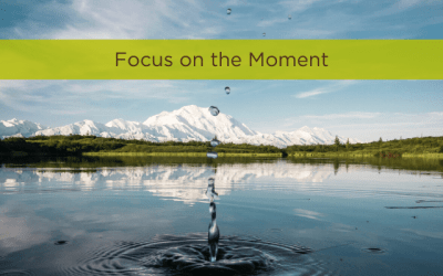 Focus on the Moment