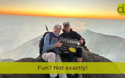 The Power of Fun in Team Dynamics and Development