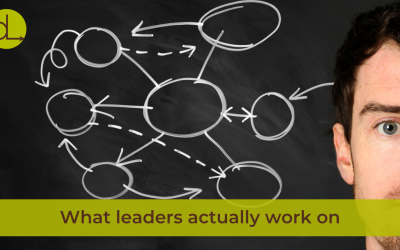 Executive Coaching Topics: What Leaders Bring to Coaching Sessions