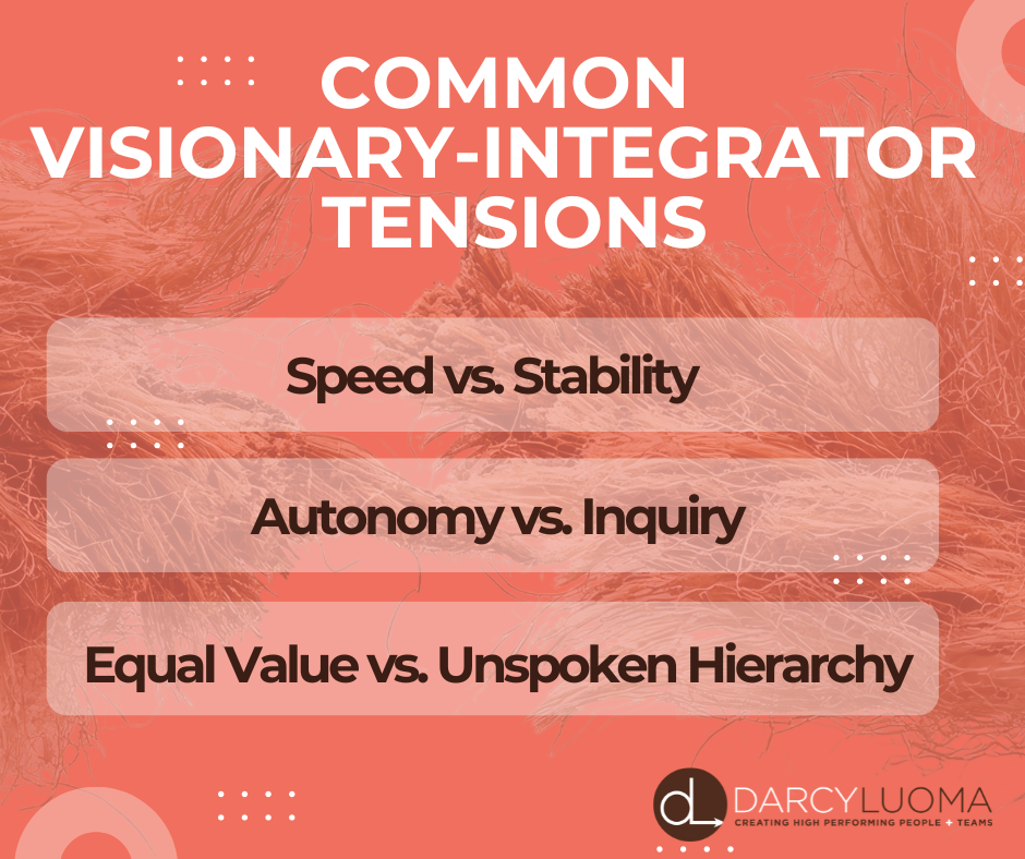 Common Visionary-Integrator Tensions